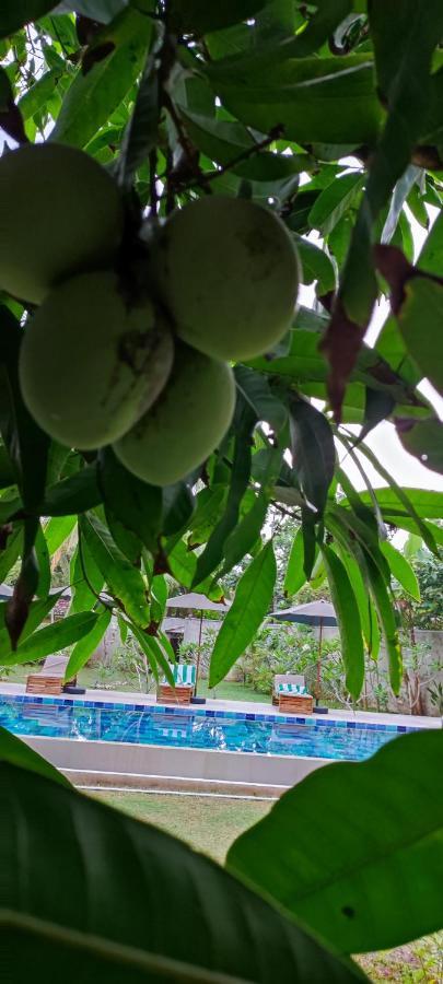 Mango Tree Villa Bentota Eksteriør bilde