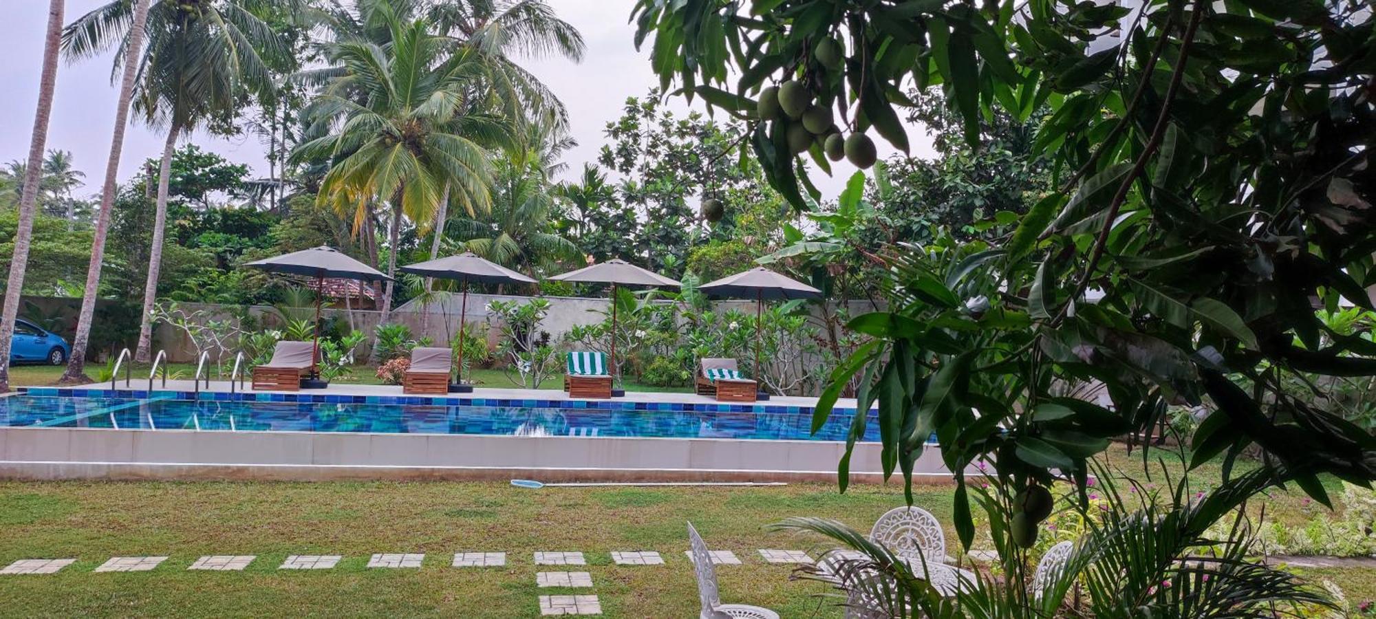 Mango Tree Villa Bentota Eksteriør bilde